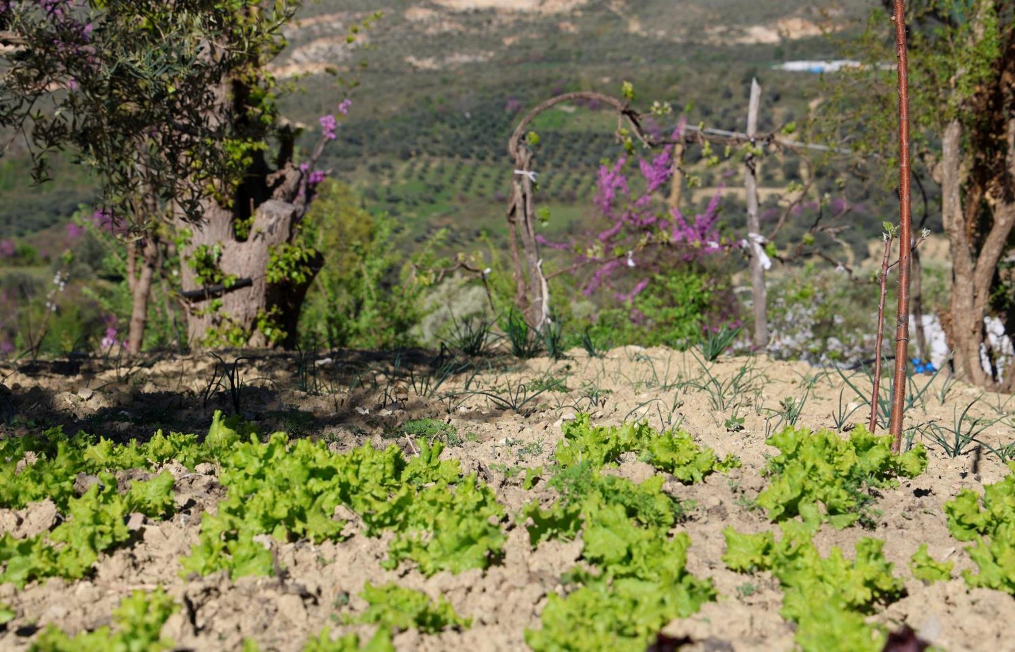 Villa Shpiragu Village Experience Berat Dış mekan fotoğraf